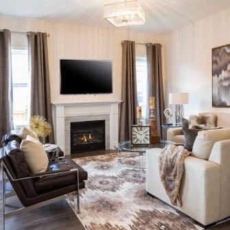 Luxury New Home Living Room