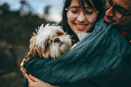 Richmond Hill Dog Park