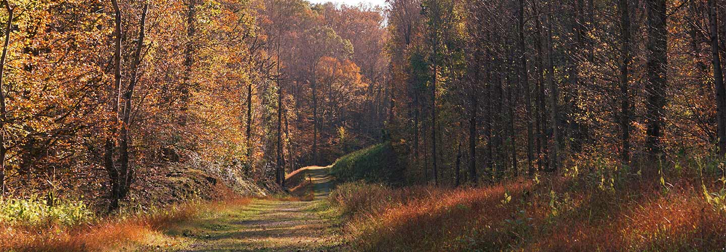 Our Favourite Fall Hikes in the GTA