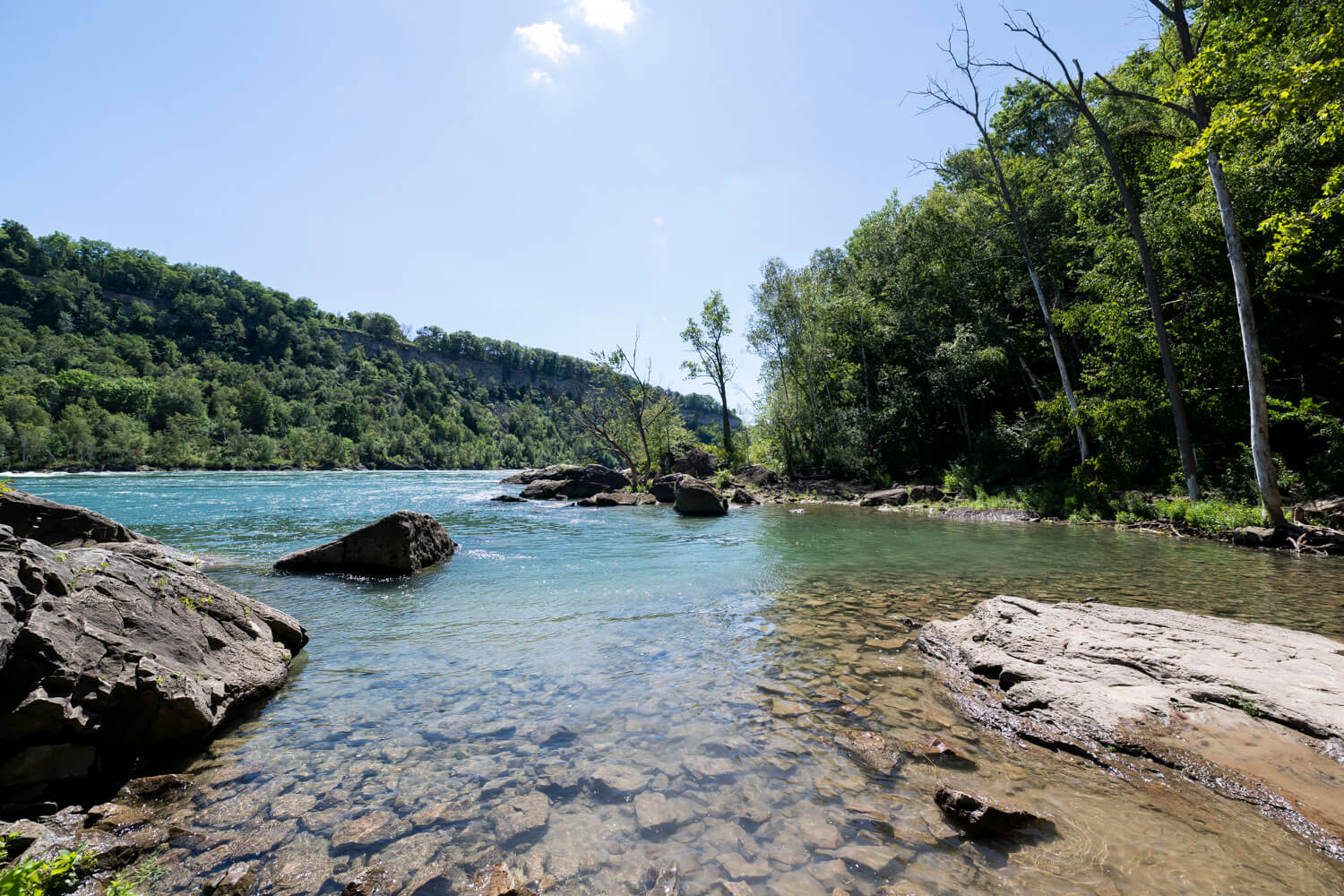 Niagara Glen Main Loop Trail