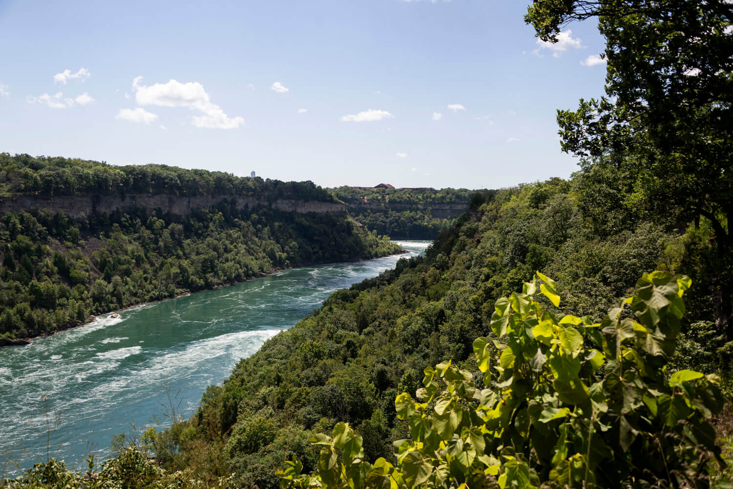 The Niagara Gorge