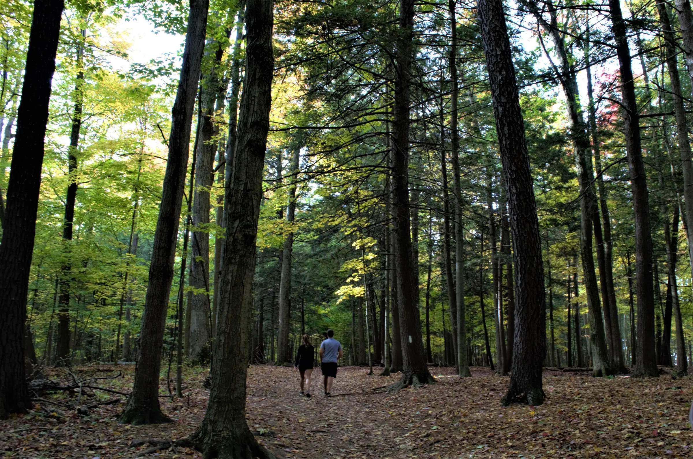 Ellia Rouge National Park